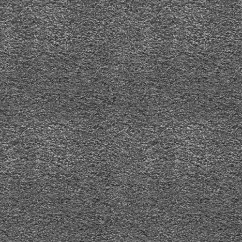 🛏️ Secret Bedroom Carpet